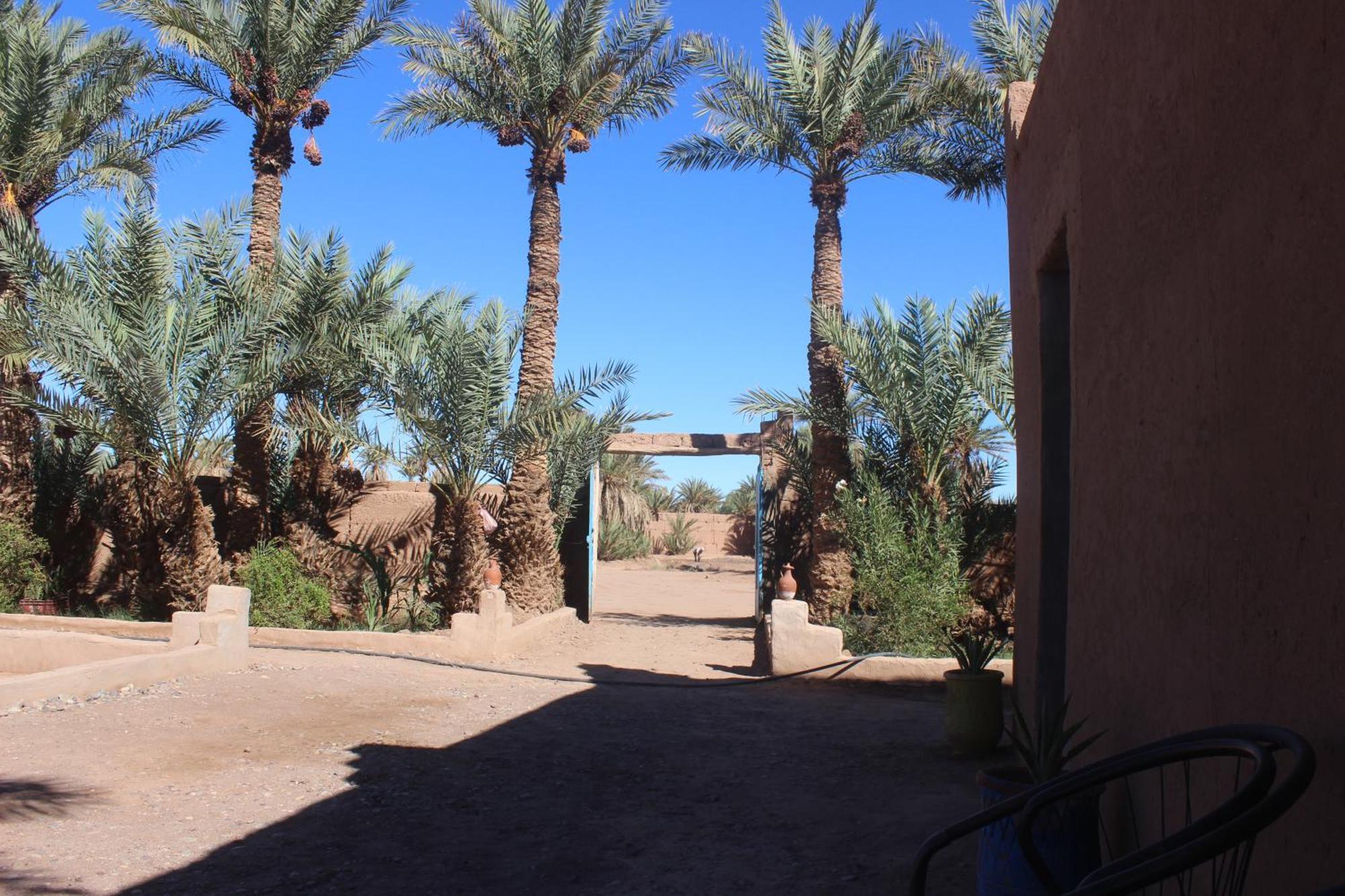 Kasbah Desert Camp M'Hamid Exterior photo